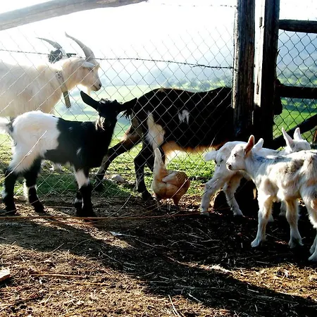 Agrihouse *