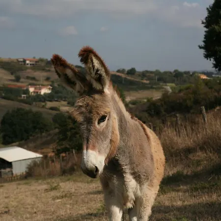 Agrihouse Bracciano (Rome)