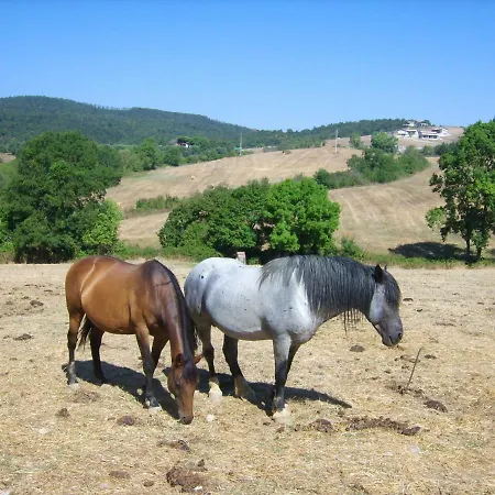 Agrihouse * Bracciano (Rome)